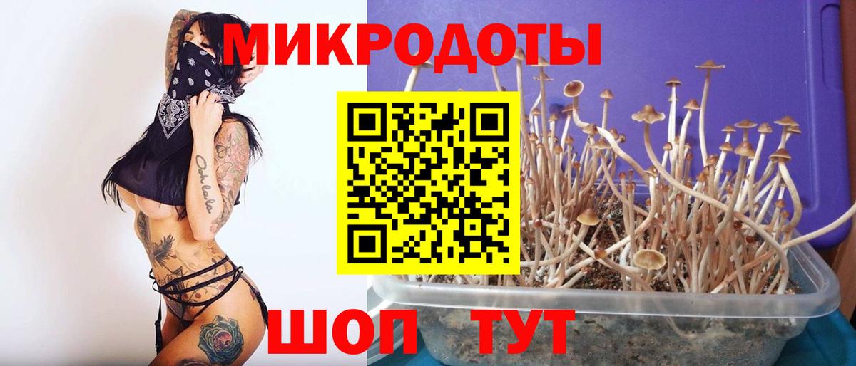 Галлюциногенные грибы Psilocybine cubensis  Вход с VPN  Вязники 